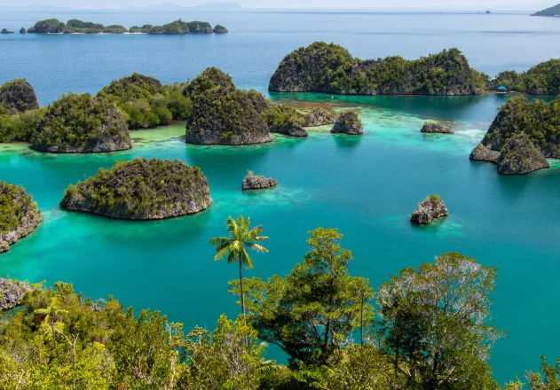 Raja Ampat Islands